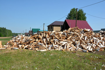 The background of birch wood