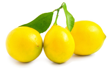 three lemons on a white background