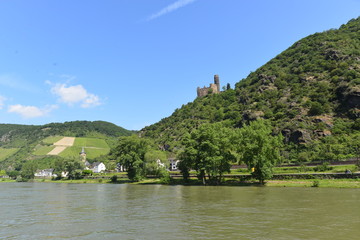 Burg Maus im Mittelrheintal bei Sankt Goarshausen