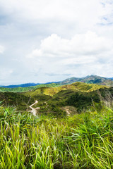 Mountain and trees of the rain forest.