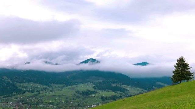 4K . Mountain  spring clouds and alone tree. Time lapse without birds.