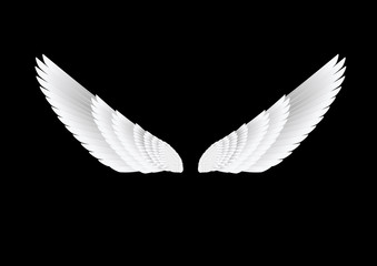 Obraz na płótnie Canvas the vector white wings on black background