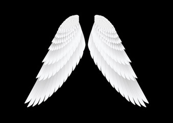 Fototapeta na wymiar the vector white wings on black background