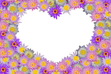 Fototapeta na wymiar Pink purple heart shaped lotus flowers on white background
