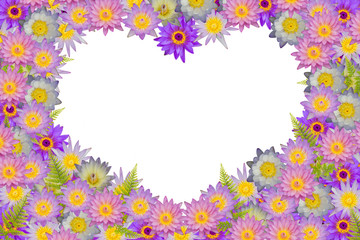 Pink purple heart shaped lotus flowers and green fern leaves on white background