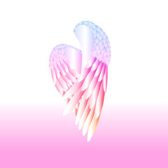 the vector white wings on black background