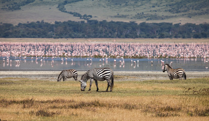 Ngorongoro Conservation Area © ksumano