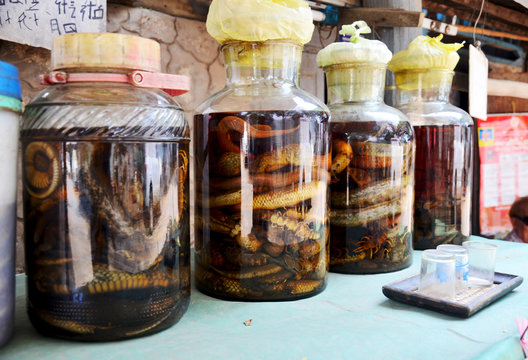 Laotian people made traditional liquor fermented and pickled wit