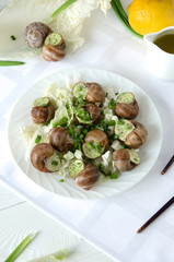 snail white plate napkin