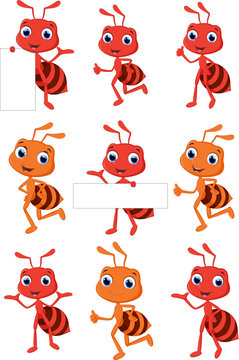 collection cute ant cartoon