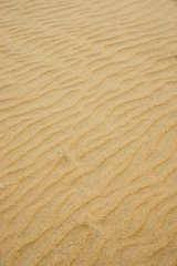 Fototapeta na wymiar Sand on the beach.