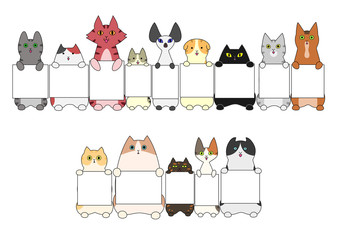 Cats standing with the card