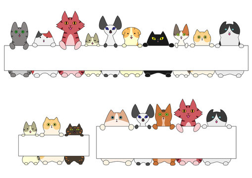 Cats standing with the card