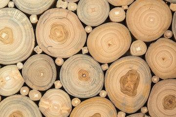 Closeup of round wood stump cut group, Background