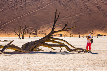 Woman photographing picturesque dried tree