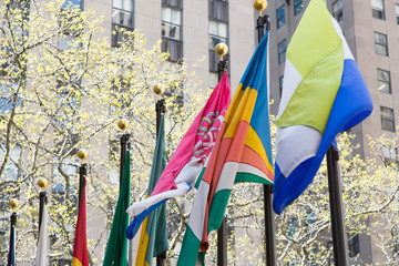 Various flags