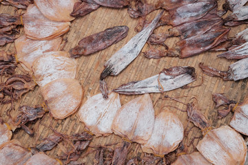 Dried squid on bamboo basket in local market.