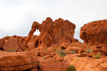 Fototapeta premium Elephant Rock in Valley of Fire State Park, USA.