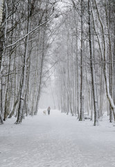 Woman with a dog on a snowy winter alley