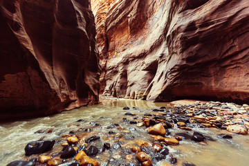 Canyon in Zion