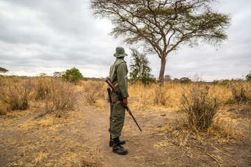 A park ranger working in the Tarangire National Park in northern Tanzania, Africa