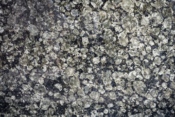 Stone granite texture and background