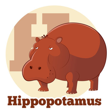 ABC Cartoon Hippopotamus2