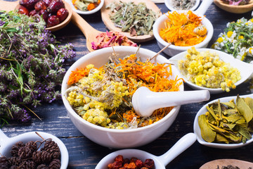 Herbs , berries and flowers