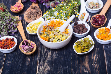 Herbs , berries and flowers