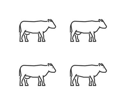 Line silhouettes cow isolated on white