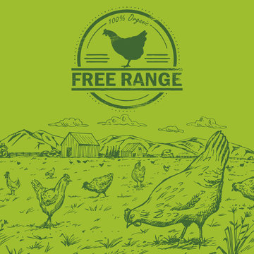 Illustration of a flock of pastured chickens with free range chicken stamp