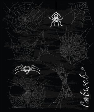 Gothic set with hand drawn cobweb and spiders
