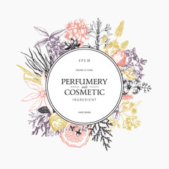 Vintage frame design with ink hand drawn aromatic fruit, flowers and leaves sketch. Floral and organics ingredients for perfumery background. Vector template in pastel colors