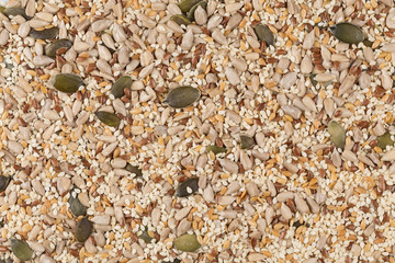 Healthy seeds mix
