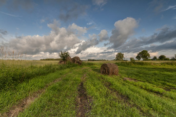 cylinder haystacks, masuria, poland