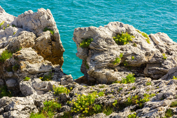 Fototapeta na wymiar Blue Rocks along the Cantabrian Sea