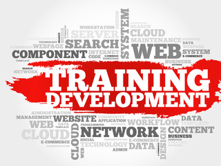 Training development word cloud concept
