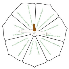 Mevlananın yedi &ouml;ğ&uuml;d&uuml;