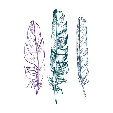 vector set of feathers