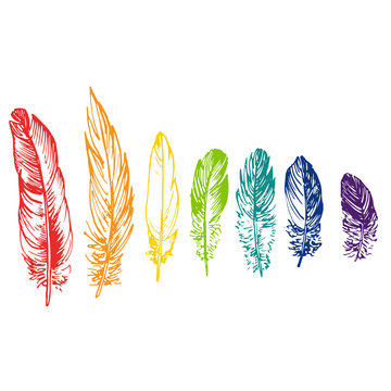 vector set of rainbow feathers