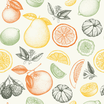 Vector seamless pattern with ink hand drawn citrus fruit, flowers, slice and leaves sketch. Vintage citrus background in pastel colors