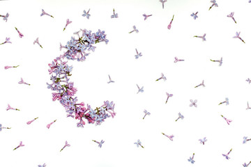 Moon and stars from lilac flowers