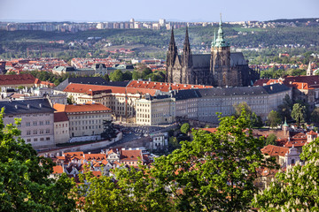 Fototapeta na wymiar Prague Castle and Saint Vitus Cathedral, Czech Republic. 