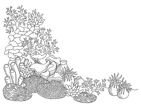 Coral sea graphic art black white underwater landscape illustration vector