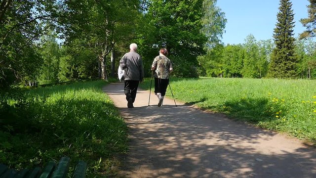 People doing Nordic walking in summer forest.