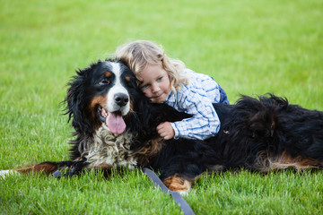 cute boy with curly blonde hair embraces a bernese mountain dog
