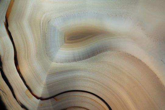 Macro of a back-lit cross section of a crystal with white, black and brown colors. Natural crystalline stone texture.