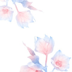 watercolor  flowers