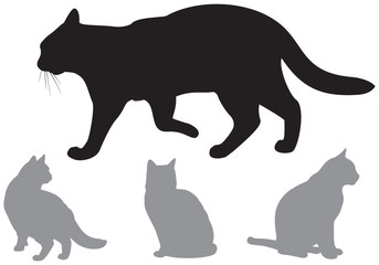 Cat Silhouettes, domestic cats vector illustration