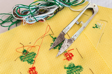 Cross stitch kit of fabric, needle, thread, scissor and chart